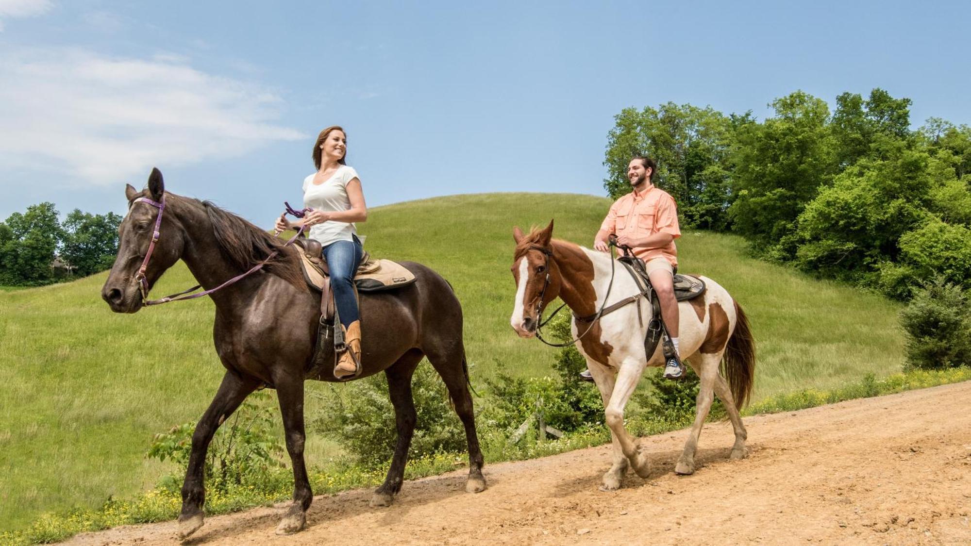 Oak Tree Lodge #3 Pigeon Forge Εξωτερικό φωτογραφία